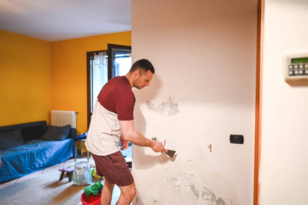 Best Crawl Space Mold Removal  in Lebanon Junction, KY